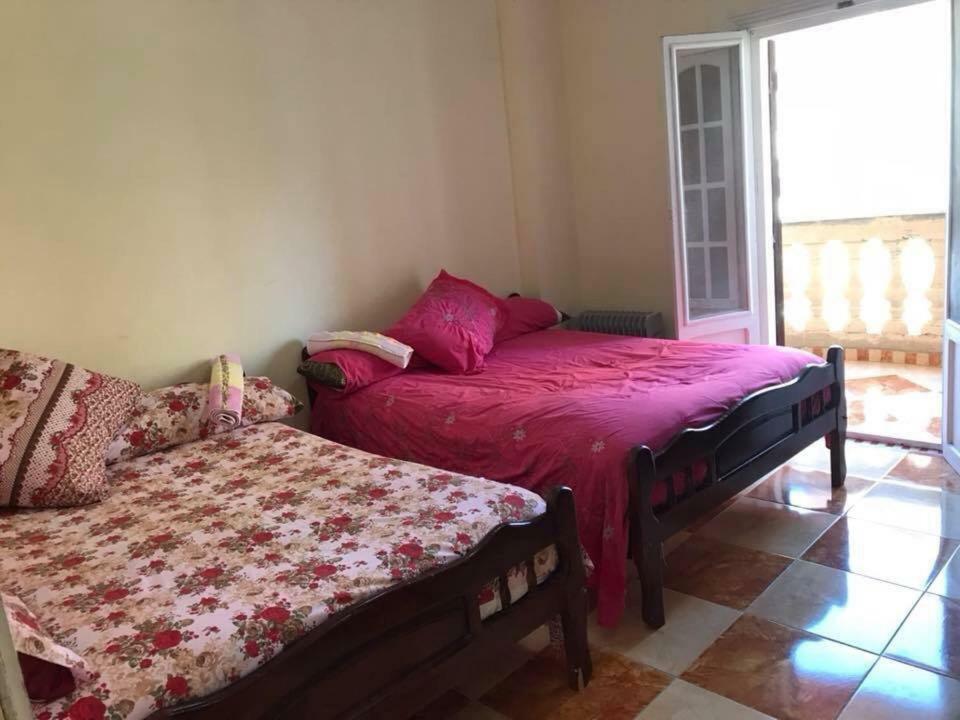 Cozy New 2 Bd Amazing Beach View Next To Hilton Hotel Family Only !العائلات فقط 亚历山大港 外观 照片